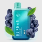Elf Bar 13000 Puff Blueberry Mint