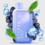 Elf Bar 13000 Puff Blueberry ice