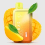 Elf Bar 13000 Puff Double Mango