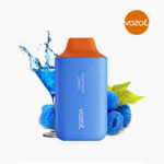 Vozol 6000 - Blue Razz Lemon