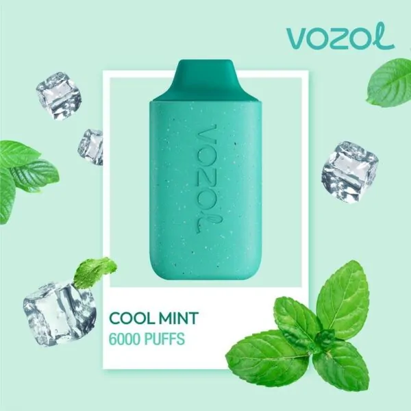 vozol 6000 cool mint