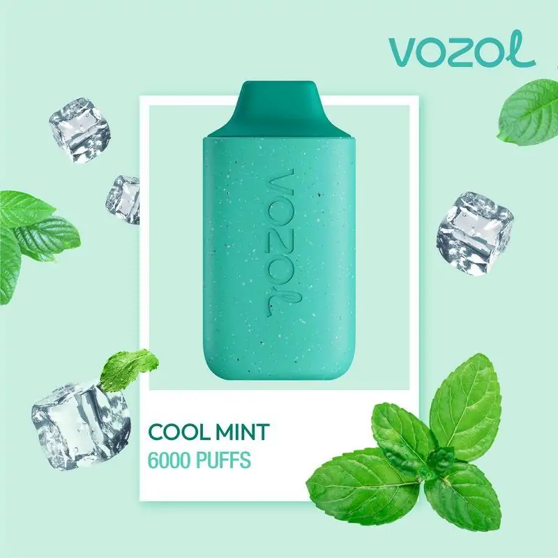 vozol 6000 cool mint
