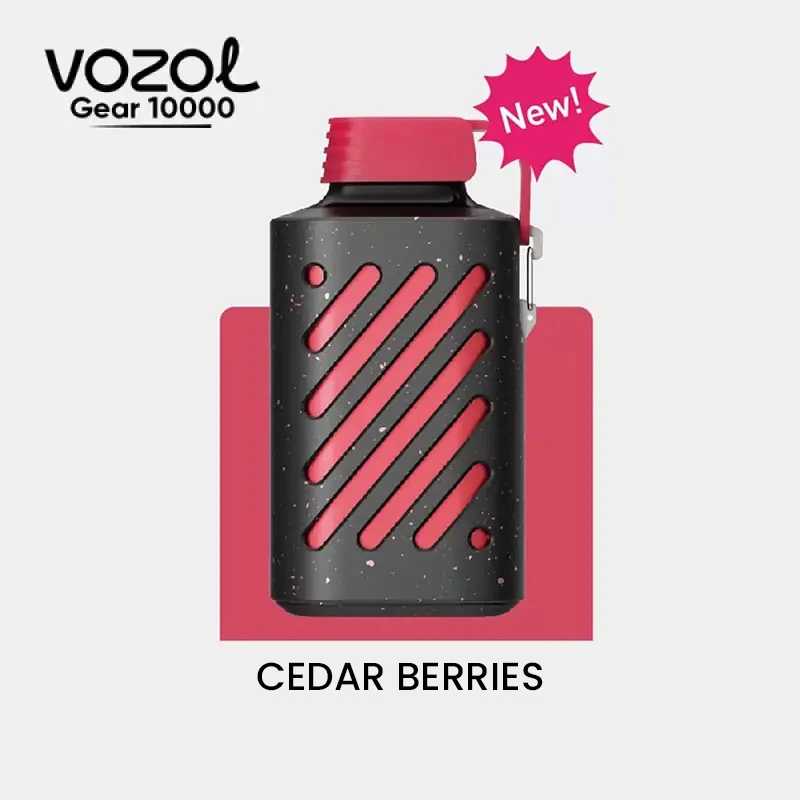 Vozol-Gear-10000-cedar-berries Vozol Gear 10000 Cedar Berries