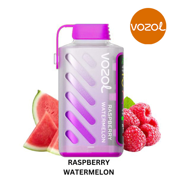 Vozol Gear Power 20000 Raspberry Watermelon